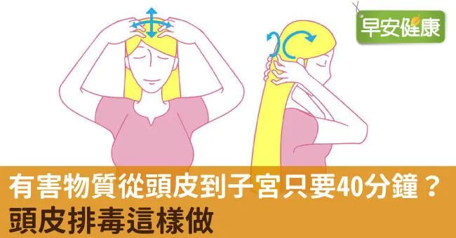 有害物質從頭皮到子宮只要40分鐘？頭皮排毒這樣做