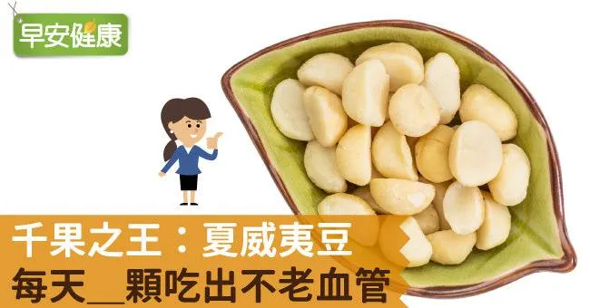 夏威夷豆營養價值高！4顆夏威夷豆吃出不老血管