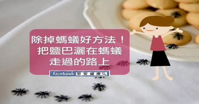 除掉螞蟻好方法！
