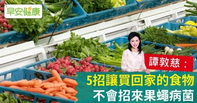 譚敦慈：5招讓買回家的食物，不會招來果蠅病菌
