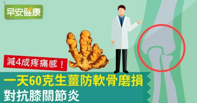 一天60克生薑防軟骨磨損，對抗膝關節炎