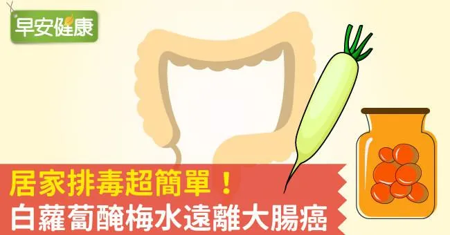 居家排毒超簡單！白蘿蔔醃梅水遠離大腸癌
