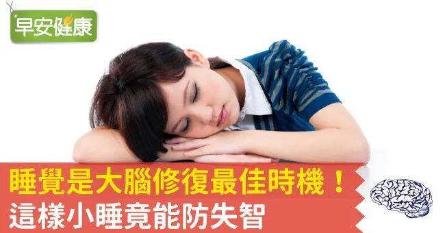 睡覺是大腦修復最佳時機！這樣小睡竟能防失智