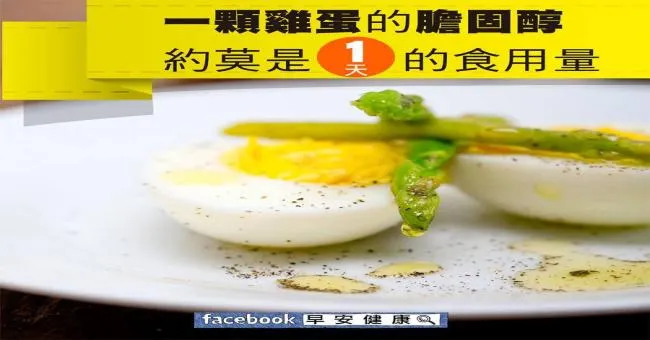一顆雞蛋的膽固醇，約莫是1天的食用量