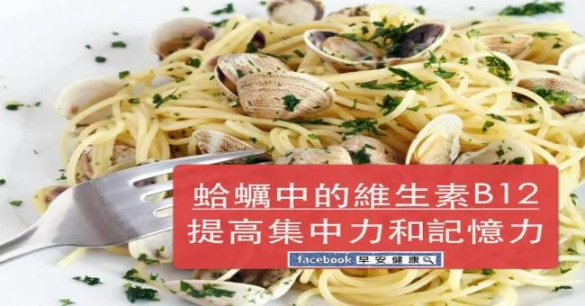 蛤蠣中的維生素B12提高集中力和記憶力！