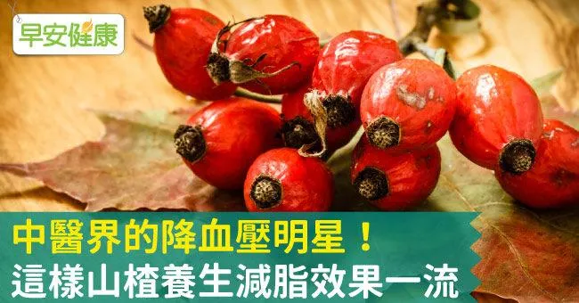 中醫界的降血壓明星！這樣山楂養生減脂效果一流