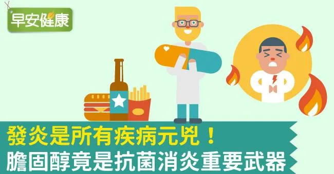 發炎是所有疾病元兇！膽固醇竟是抗菌消炎重要武器