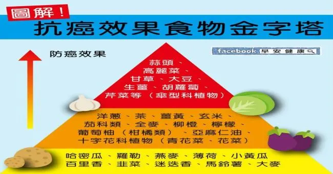圖解！抗癌效果食物金字塔