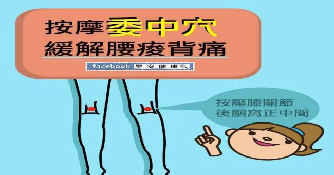 按摩委中穴，緩解腰痠背痛