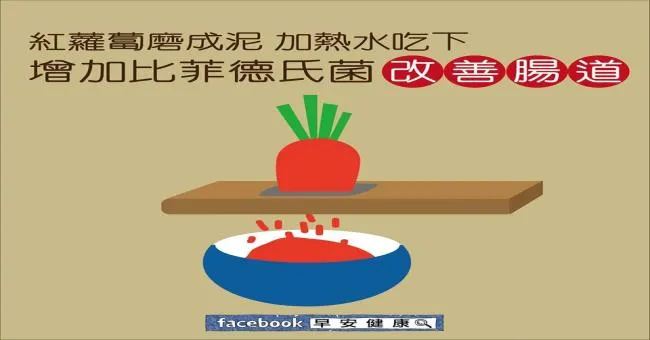 紅蘿蔔磨成泥加熱水吃下，增加比菲德氏菌，改善腸道