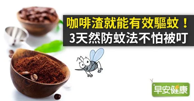 咖啡渣就能有效驅蚊！3天然防蚊法不怕被叮