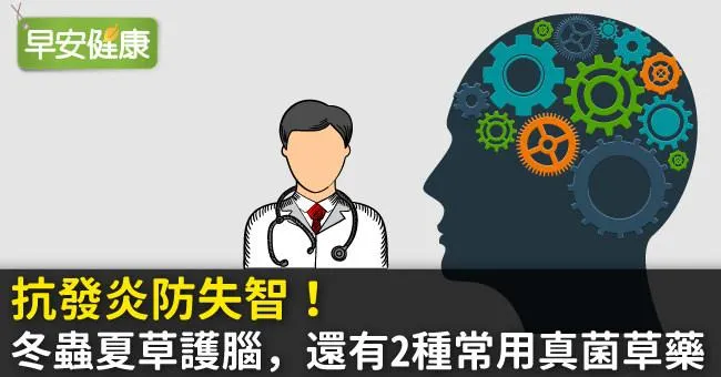 抗發炎防失智！冬蟲夏草護腦，還有2種常用真菌草藥