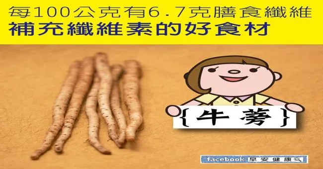 牛蒡每100公克有6.7克膳食纖維，補充纖維素的好食材