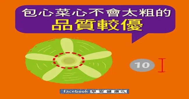 包心菜心不會太粗的，品質較優