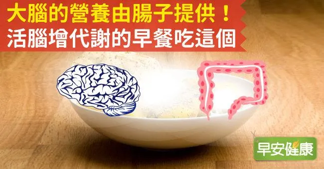 大腦的營養由腸子提供！活腦增代謝的早餐吃這個