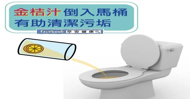 金桔汁倒入馬桶，有助清潔污垢