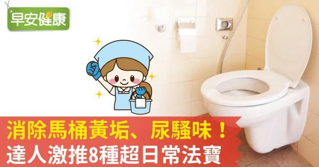消除馬桶黃垢、尿騷味！達人激推8種超日常法寶