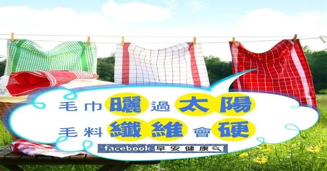 毛巾曬過太陽，毛料纖維會變硬