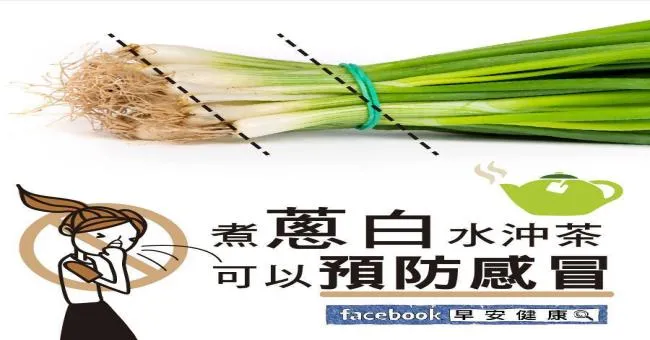 煮蔥白水沖茶，可以預防感冒