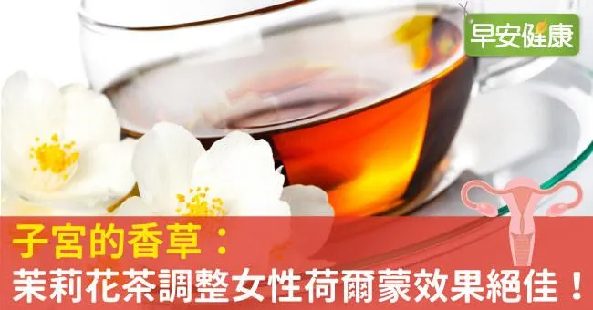 子宮的香草：茉莉花茶調整女性荷爾蒙效果絕佳！