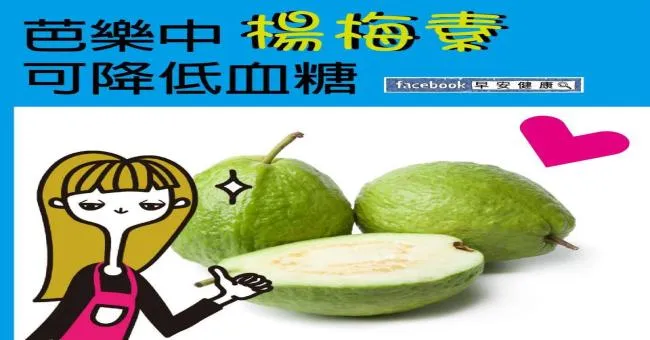 芭樂中楊梅素，可降低血糖
