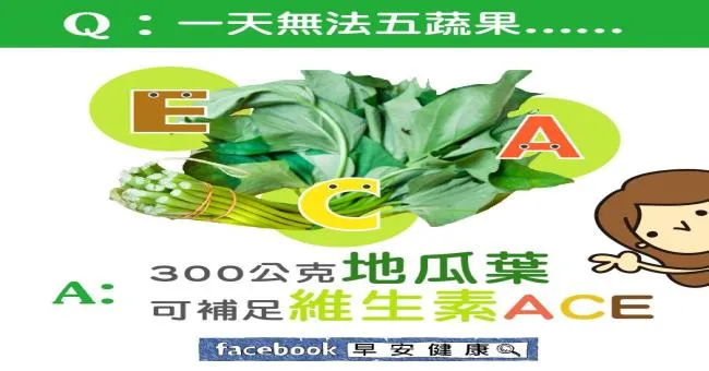 300公克地瓜葉可補足維生素ACE
