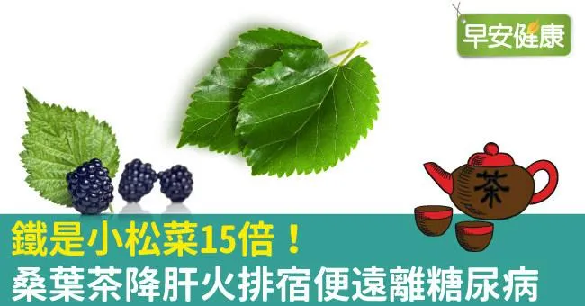 鐵是小松菜15倍！桑葉茶降肝火排宿便遠離糖尿病