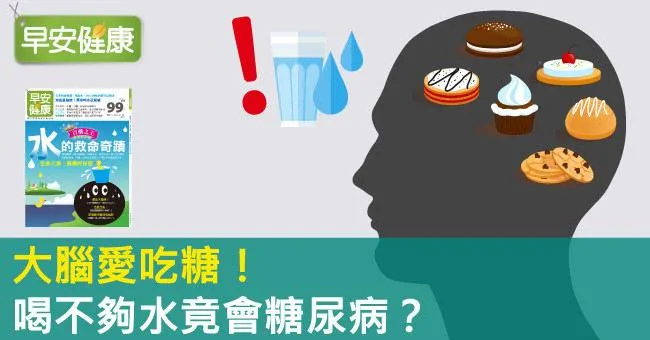 大腦愛吃糖！喝不夠水竟會糖尿病？