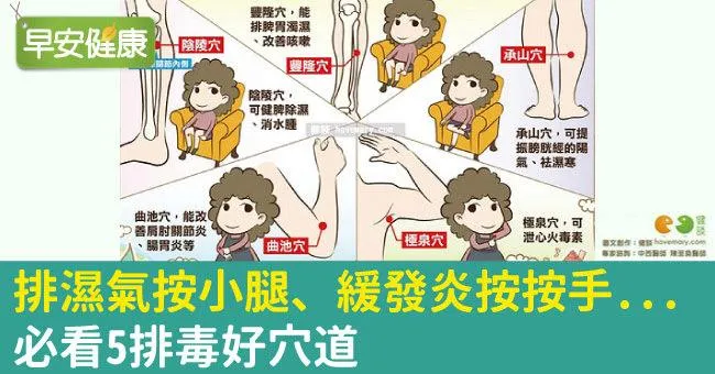 排濕氣按小腿、緩發炎按按手...必看5排毒好穴道