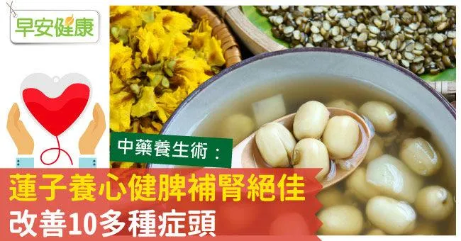蓮子養心健脾補腎絕佳，改善10多種症頭