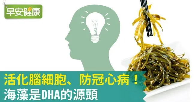 活化腦細胞、防冠心病！海藻是DHA的源頭