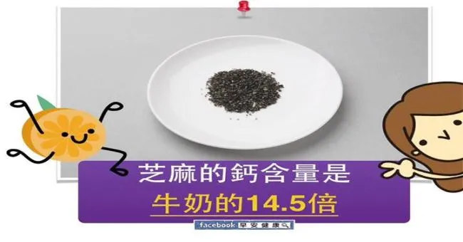 芝麻的鈣含量是牛奶的14.5倍