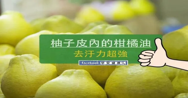 柚子皮內的柑橘油去汙力超強