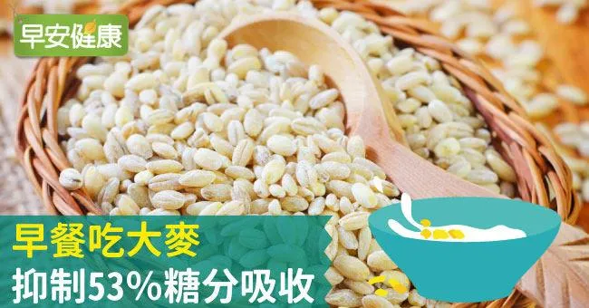 早餐吃大麥，抑制53％糖分吸收