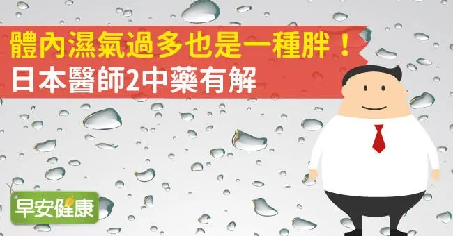 體內濕氣過多也是一種胖！日本醫師2中藥有解