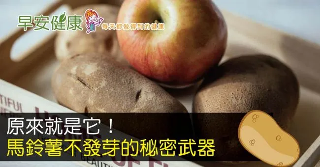 原來就是它！馬鈴薯不發芽的秘密武器