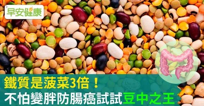 鐵質是菠菜3倍！不怕變胖防腸癌試試「豆中之王」