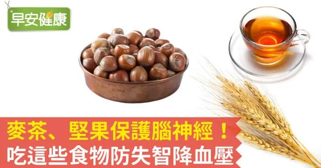麥茶、堅果保護腦神經！吃這些食物防失智降血壓