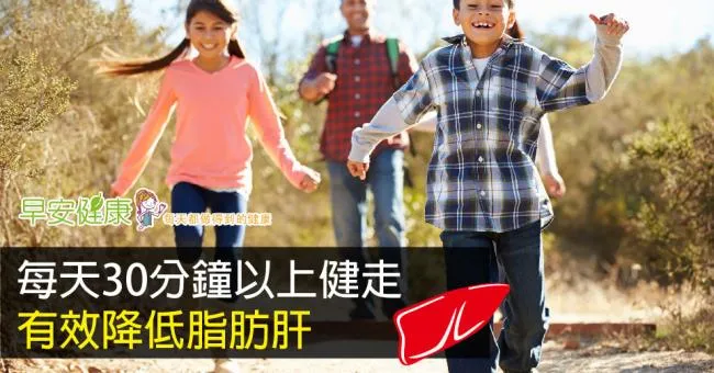 每天健走30分鐘，有效降低脂肪肝