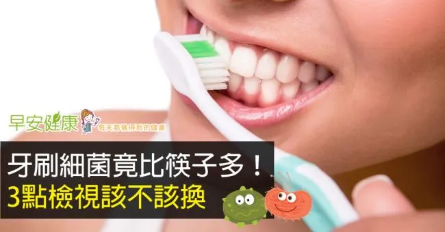 牙刷細菌竟比筷子多！3點檢視該不該換