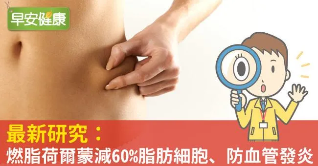 最新研究：燃脂荷爾蒙減60％脂肪細胞、防血管發炎