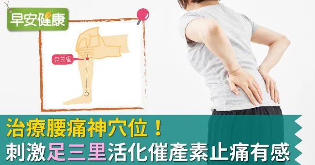 治療腰痛神穴位！刺激「足三里」活化催產素止痛有感