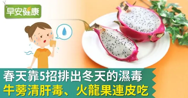 春天靠5招排出冬天的濕毒！牛蒡清肝毒、火龍果連皮吃