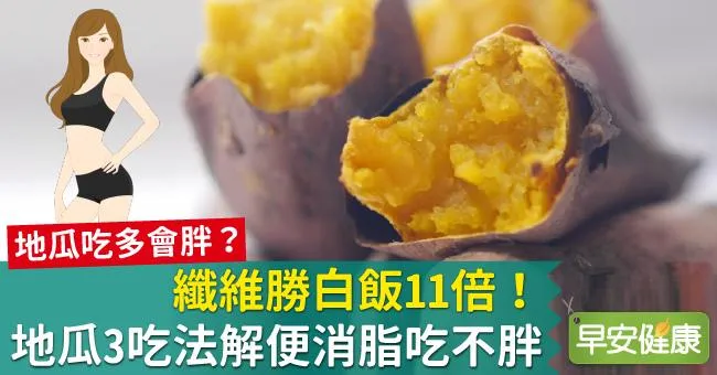 纖維勝白飯11倍！地瓜3吃法解便消脂吃不胖