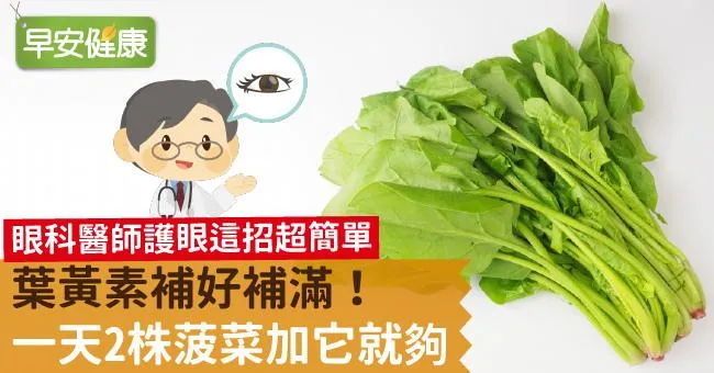 葉黃素補好補滿！一天2株菠菜加它就夠