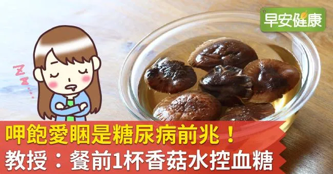 呷飽愛睏是糖尿病前兆！教授：餐前1杯香菇水控血糖