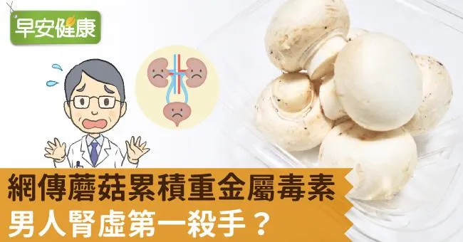 網傳蘑菇累積重金屬毒素，男人腎虛第一殺手？