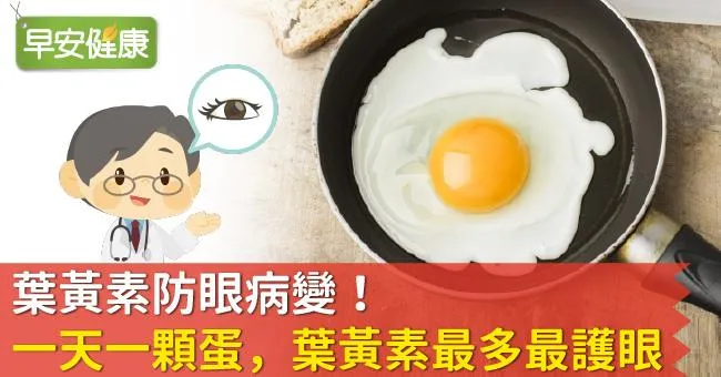 葉黃素防眼病變！一天一顆蛋，葉黃素最多最護眼！