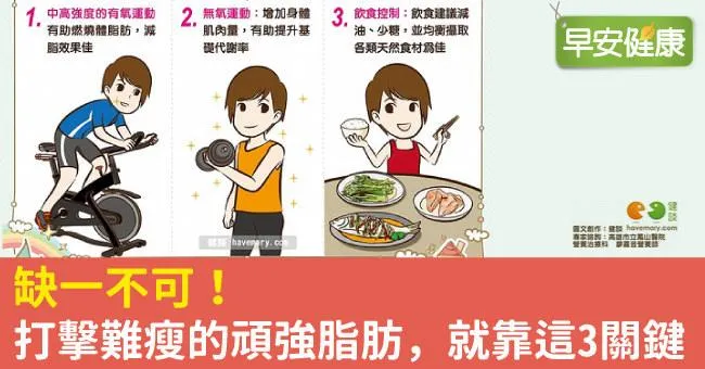 缺一不可！打擊難瘦的頑強脂肪，就靠這3關鍵