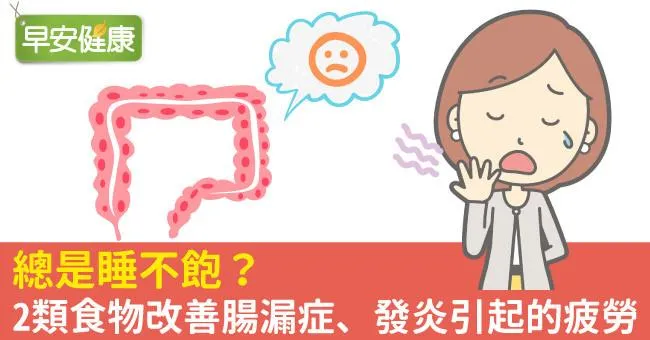 總是睡不飽？2類食物改善腸漏症、發炎引起的疲勞